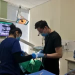 BLVD Dental Aesthetics: Your Best Dentist in Los Angeles for Comprehensive Care