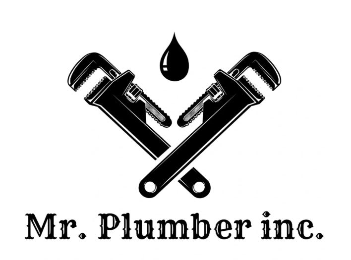Mr. plumber