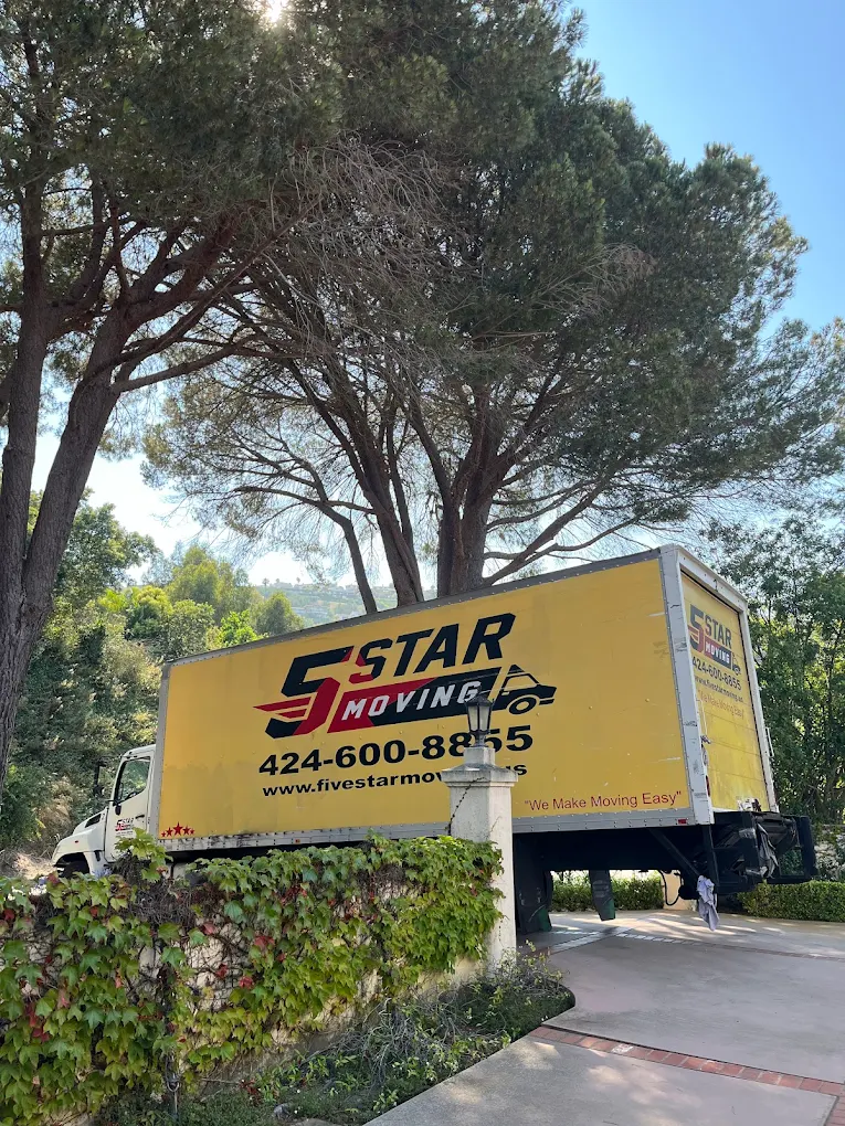 https://101sols.com/ive-star-movers-los-angeles-packing-services/