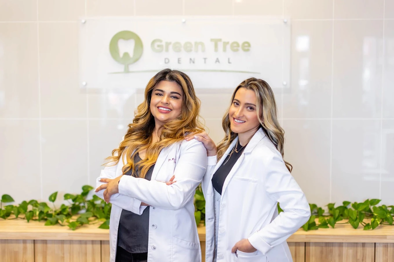 Green Tree Dental - Best Dentist in Chicago